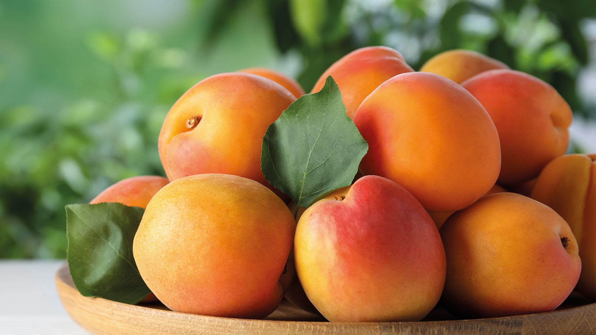 SMA’RT Apricot Kernel Powder